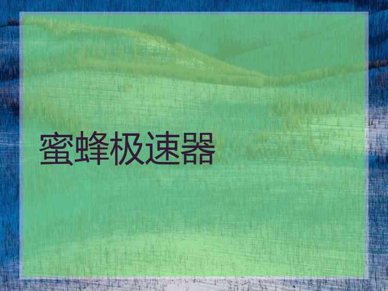 蜜蜂极速器