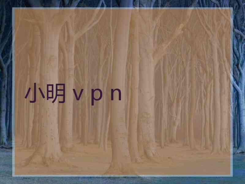 小明 v p n