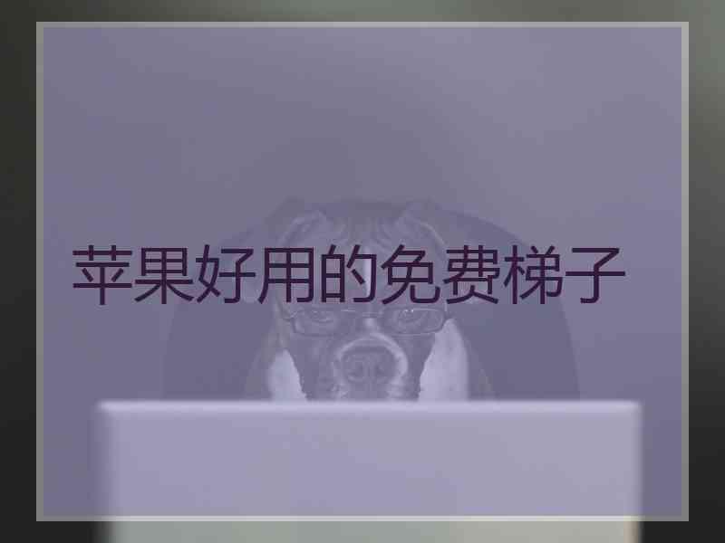 苹果好用的免费梯子