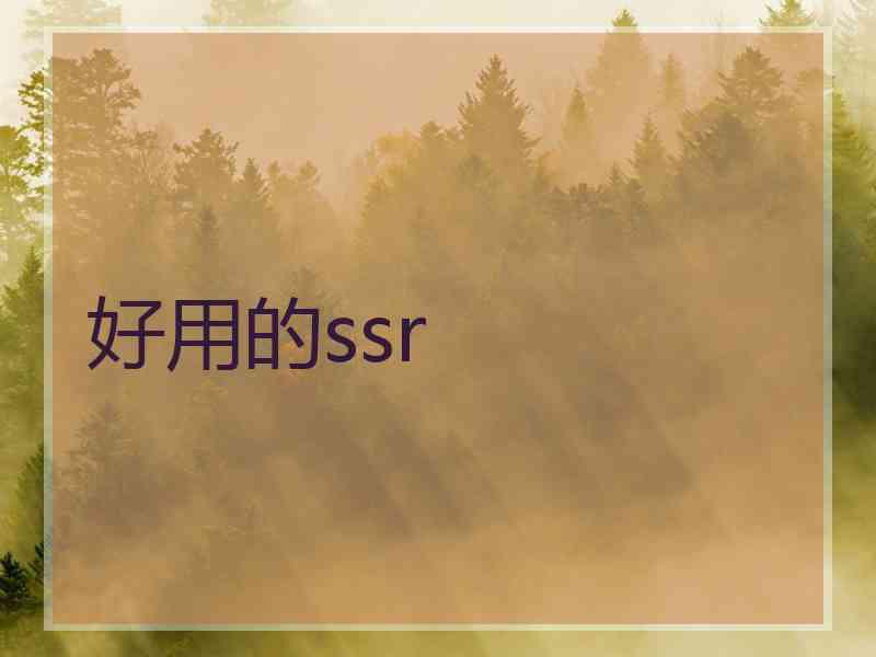 好用的ssr