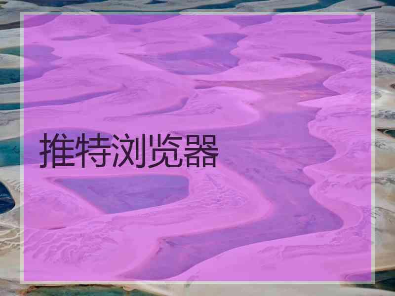 推特浏览器