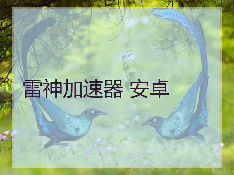 雷神加速器 安卓