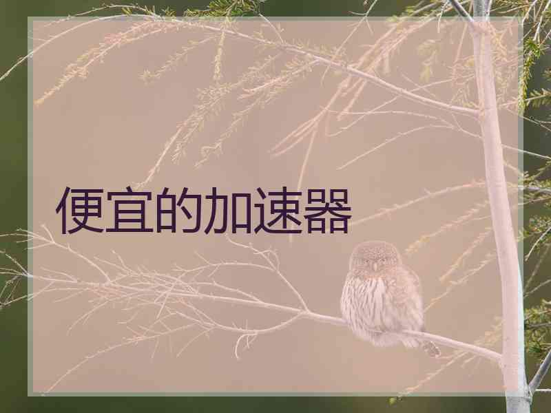便宜的加速器