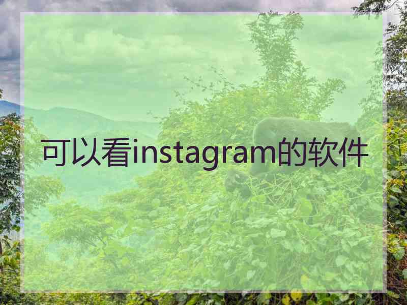 可以看instagram的软件