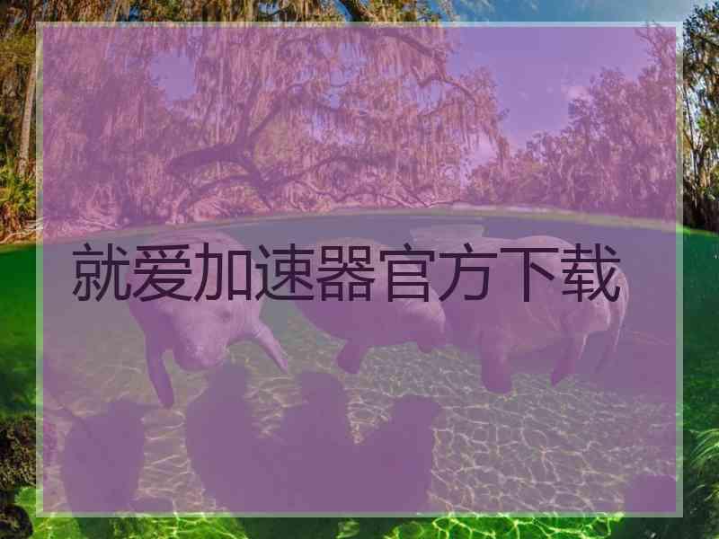 就爱加速器官方下载