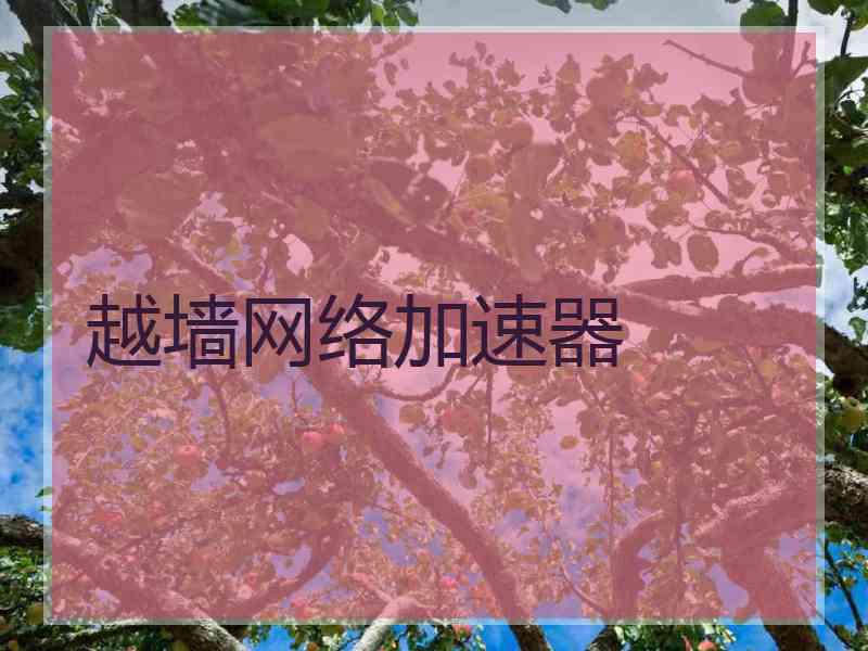 越墙网络加速器