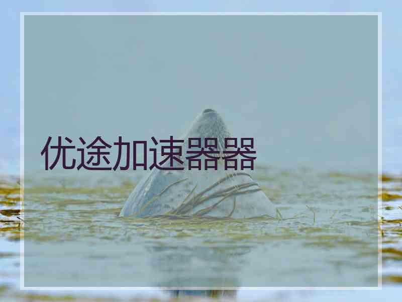 优途加速器器
