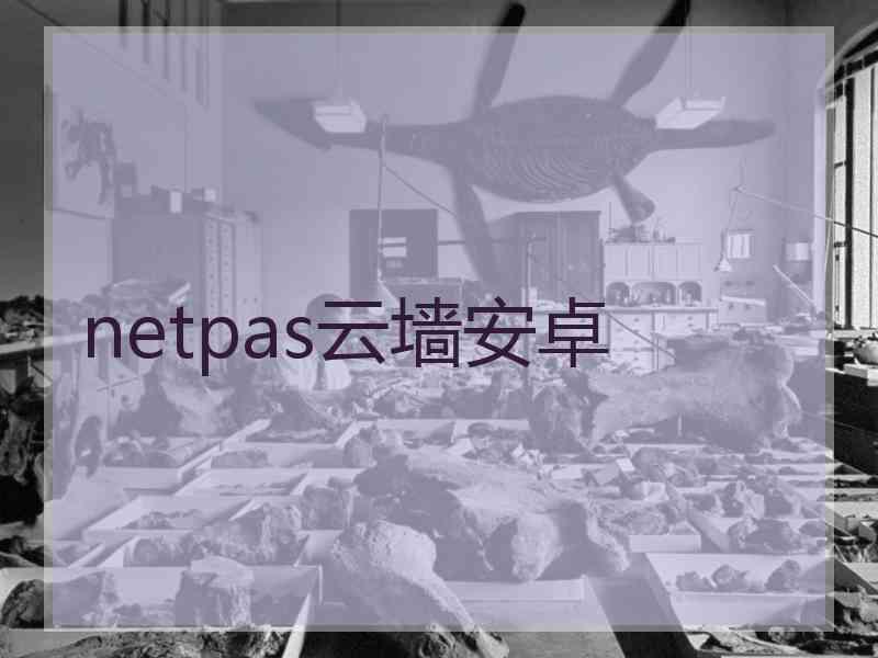 netpas云墙安卓