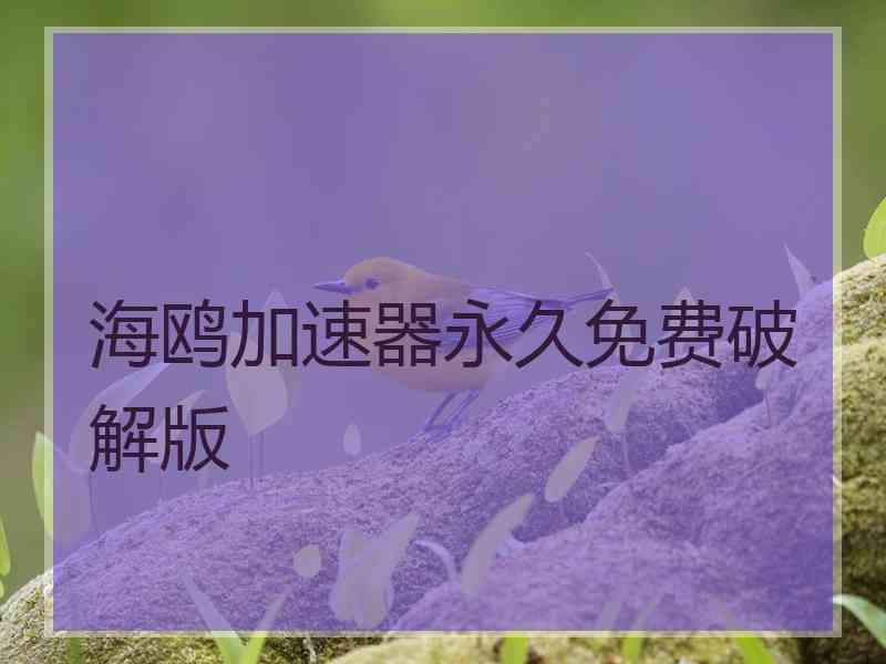 海鸥加速器永久免费破解版
