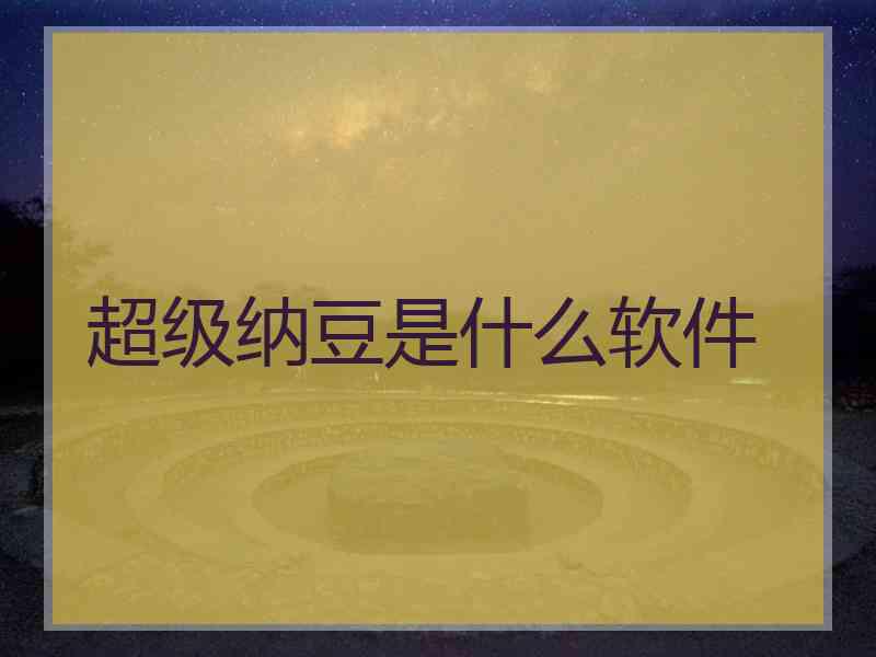 超级纳豆是什么软件