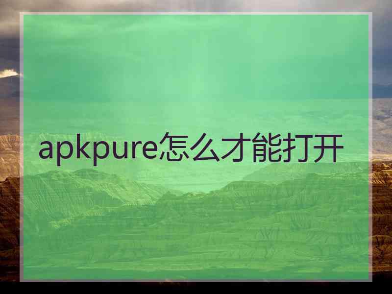 apkpure怎么才能打开
