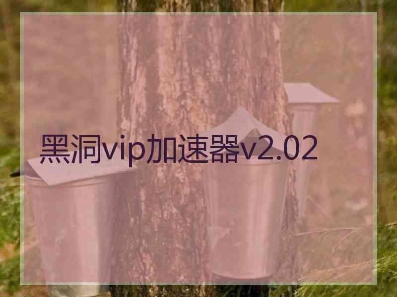 黑洞vip加速器v2.02