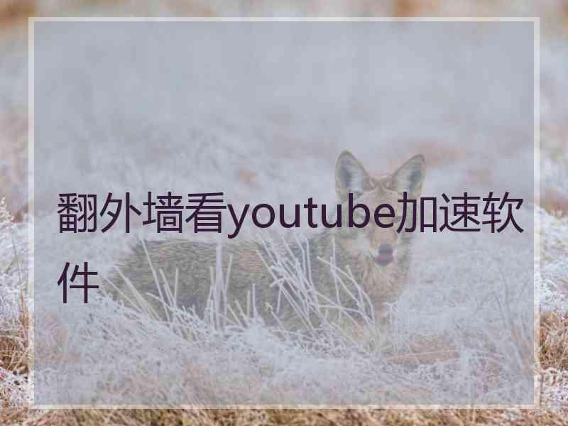 翻外墙看youtube加速软件