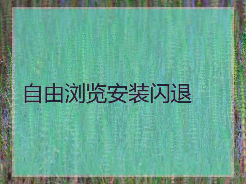 自由浏览安装闪退
