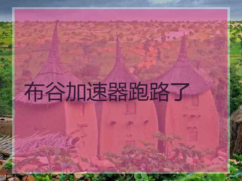 布谷加速器跑路了