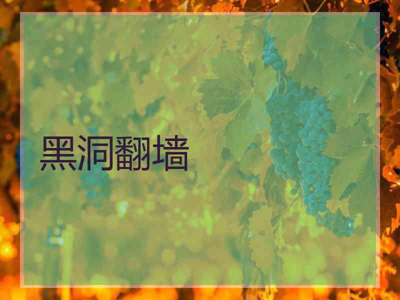 黑洞翻墙