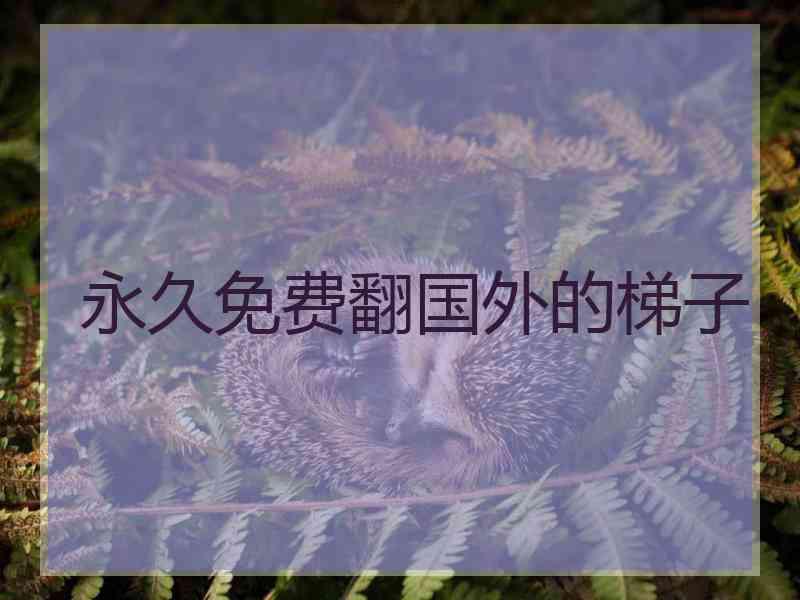 永久免费翻国外的梯子
