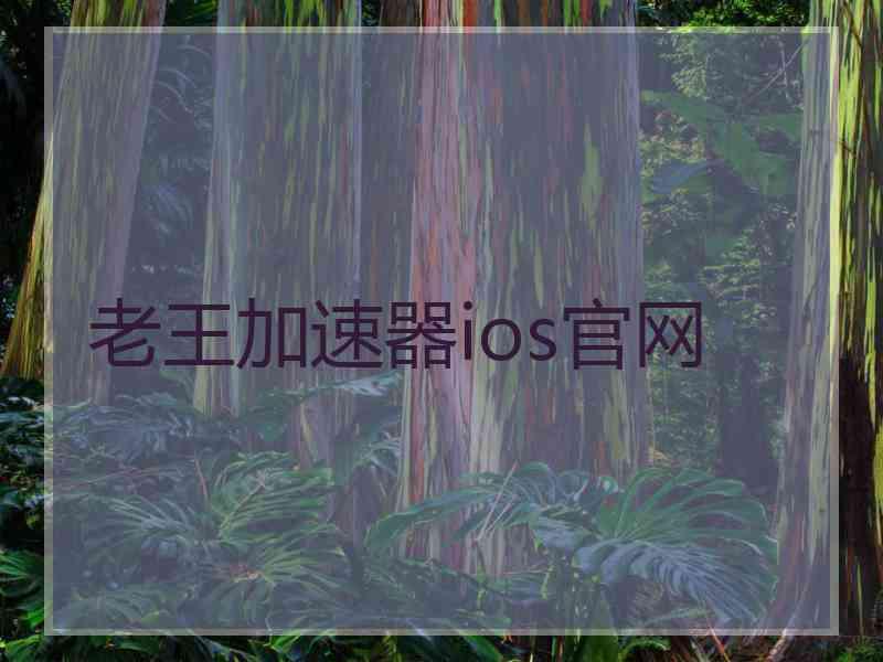 老王加速器ios官网