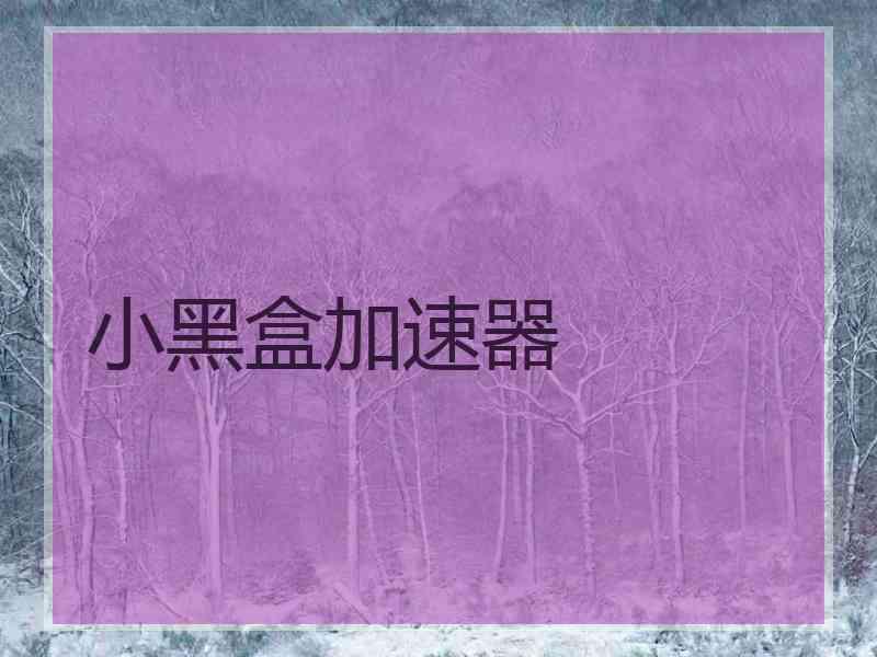 小黑盒加速器