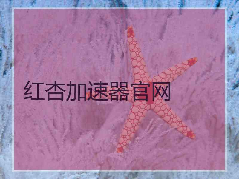 红杏加速器官网