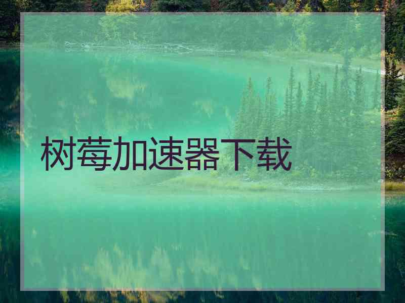 树莓加速器下载