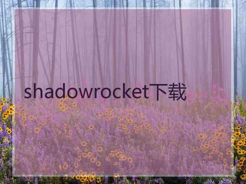 shadowrocket下载