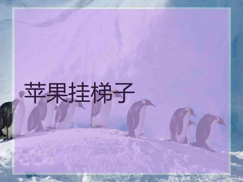 苹果挂梯子