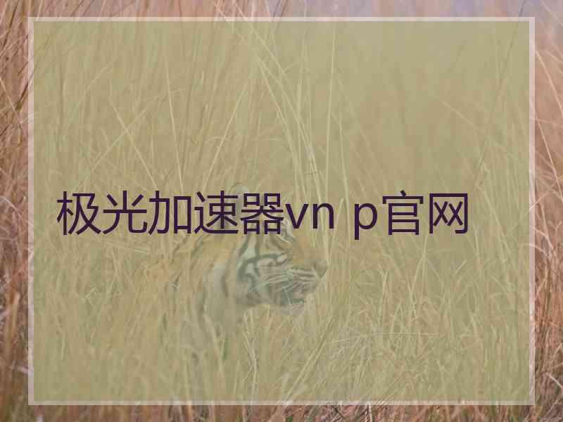 极光加速器vn p官网