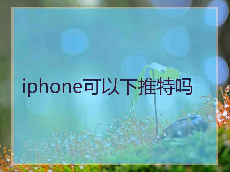 iphone可以下推特吗