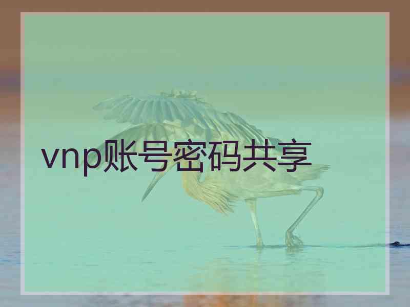 vnp账号密码共享