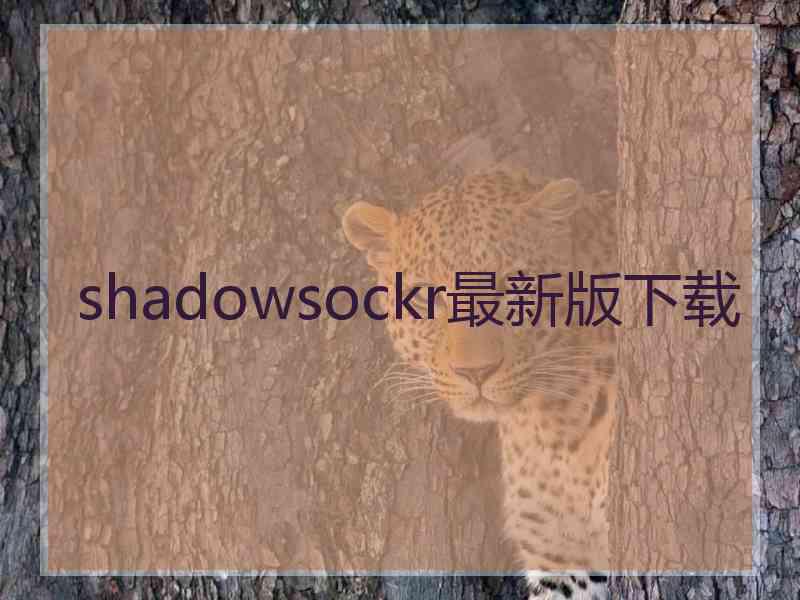shadowsockr最新版下载