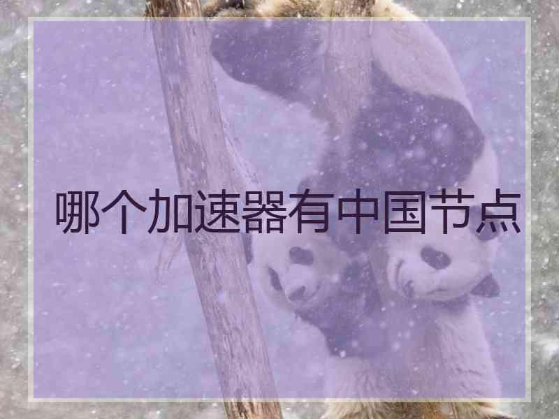 哪个加速器有中国节点