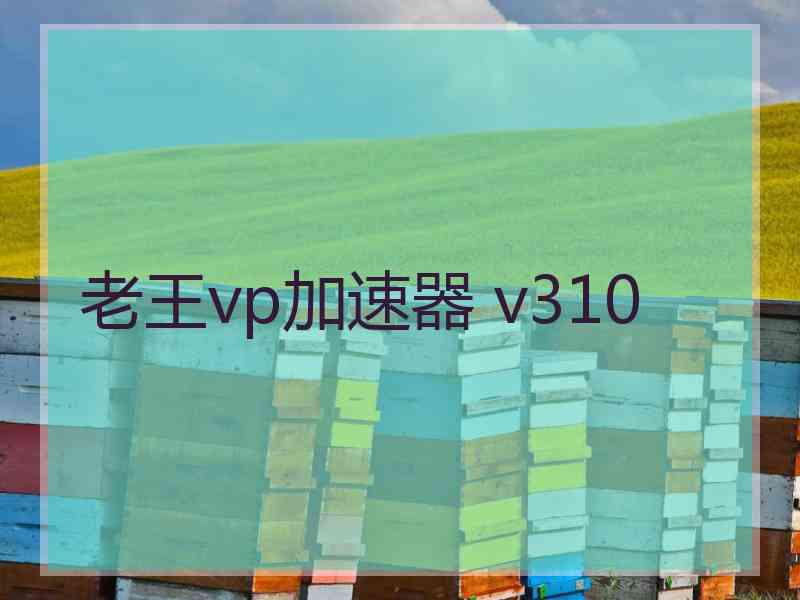 老王vp加速器 v310