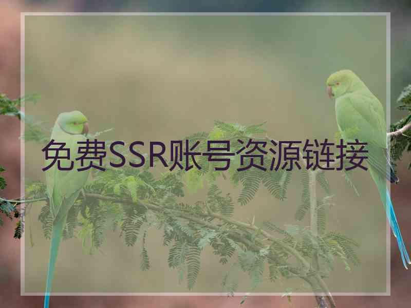 免费SSR账号资源链接