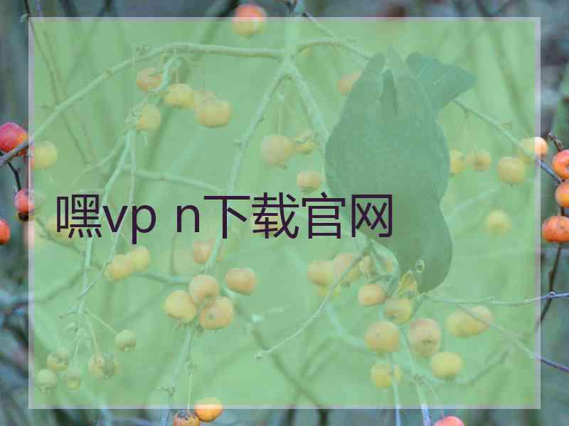 嘿vp n下载官网