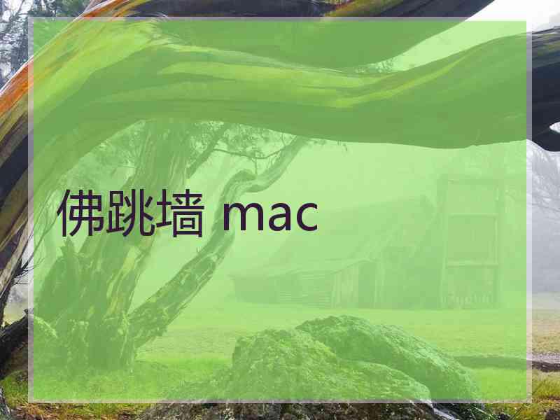 佛跳墙 mac