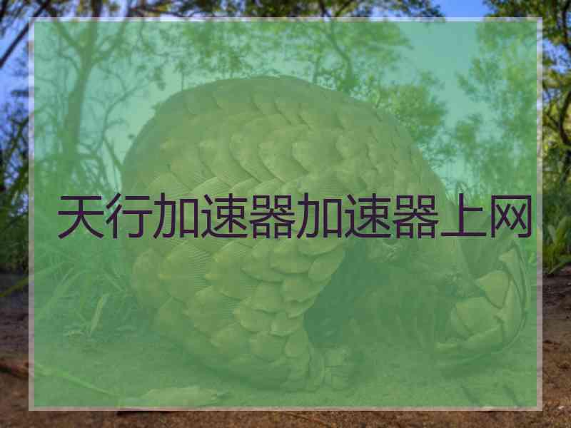 天行加速器加速器上网