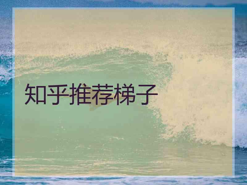 知乎推荐梯子