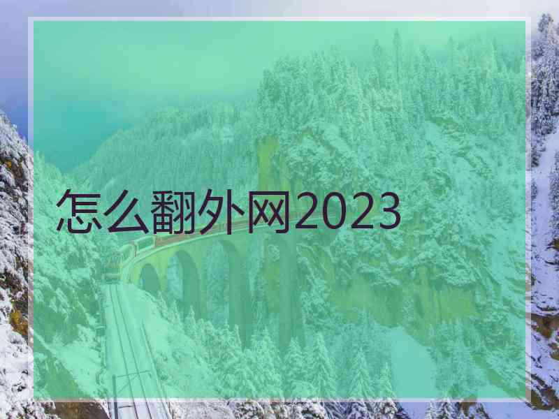 怎么翻外网2023