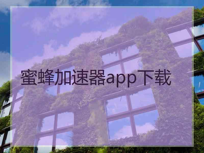 蜜蜂加速器app下载