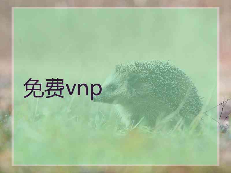 免费vnp