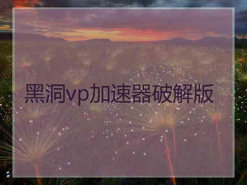 黑洞vp加速器破解版
