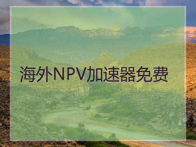 海外NPV加速器免费