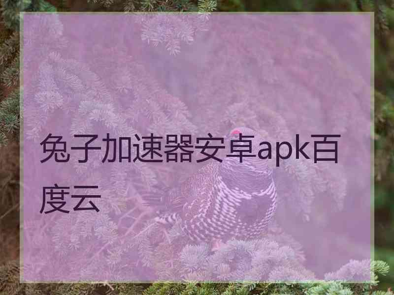 兔子加速器安卓apk百度云