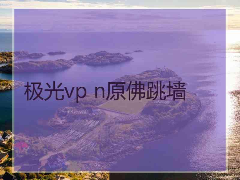 极光vp n原佛跳墙