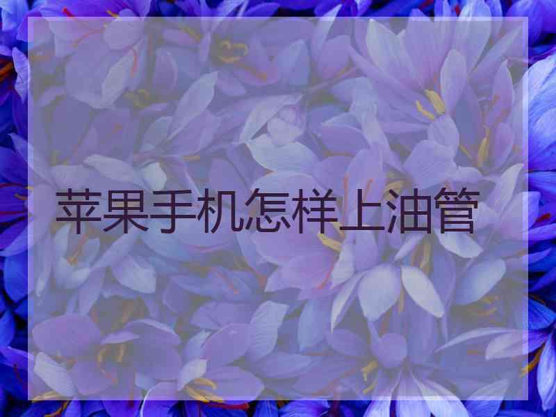 苹果手机怎样上油管