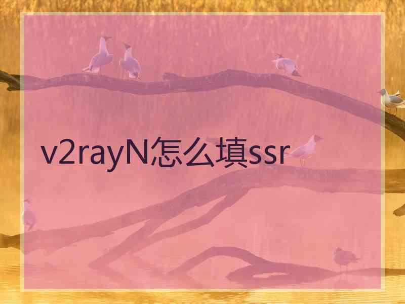 v2rayN怎么填ssr