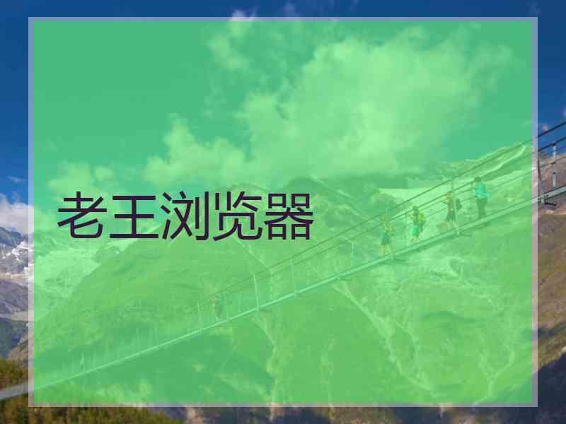 老王浏览器