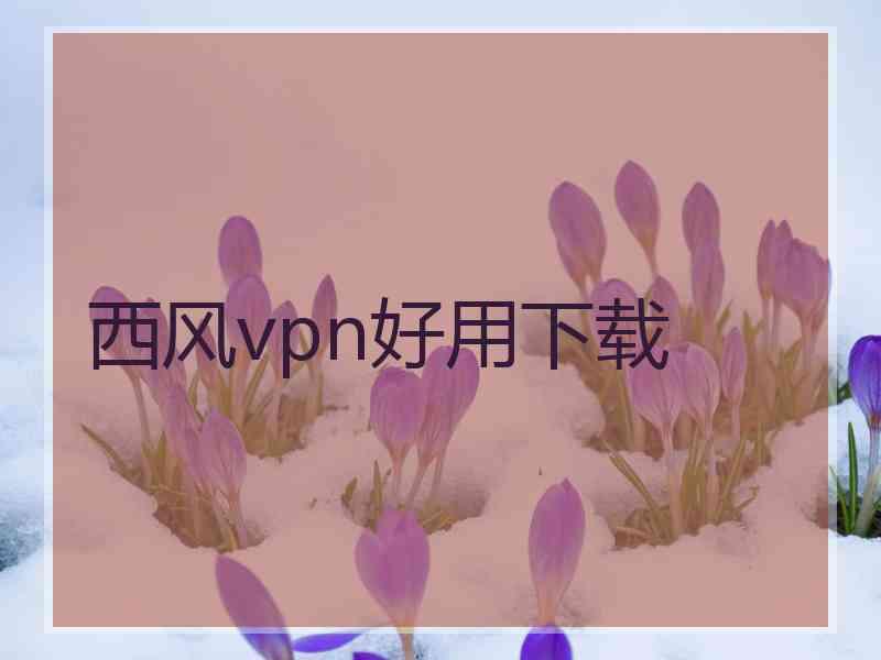 西风vpn好用下载