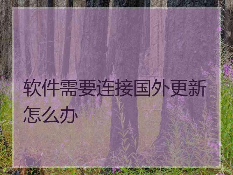 软件需要连接国外更新怎么办
